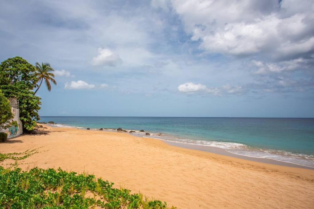 Appartamento Vwe Moun Bay Deshaies Esterno foto